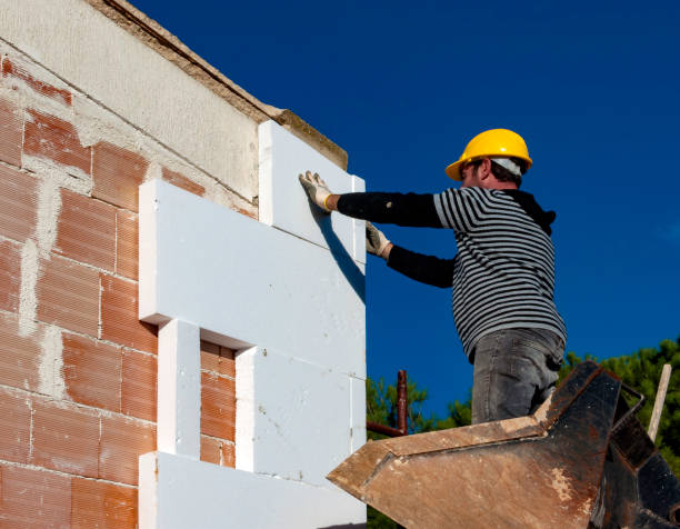 Best Insulation Maintenance and Repair in Dowagiac, MI
