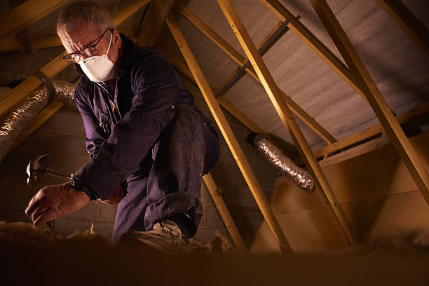 Best Residential Insulation in Dowagiac, MI